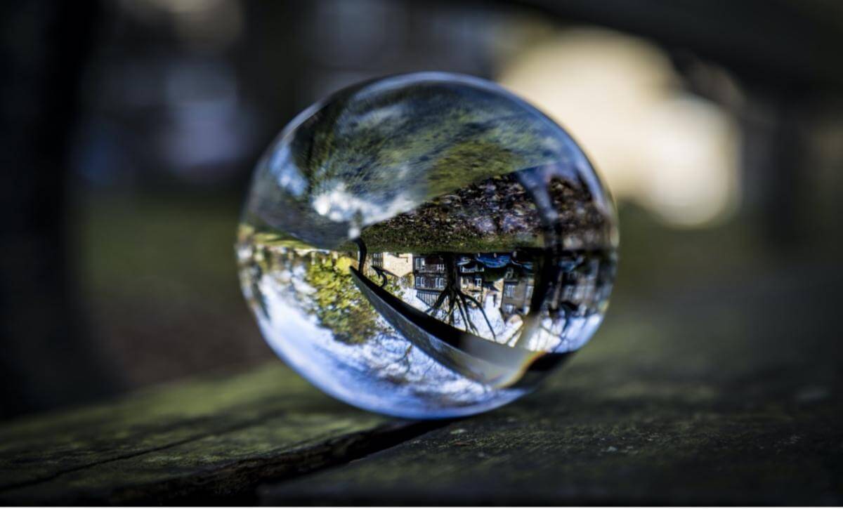 This Month in the Markets – November 2024